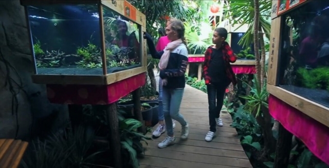  Entrada al acuario para niños 