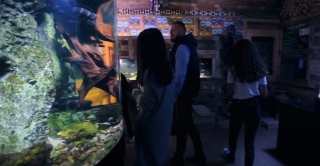  Visita del acuario con toda la familia 