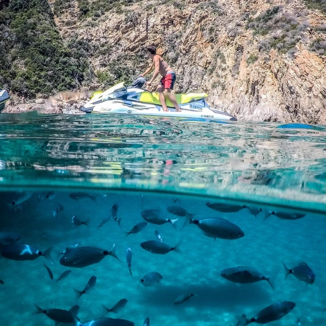  Descubrimiento de la fauna y la flora marinas de Córcega 