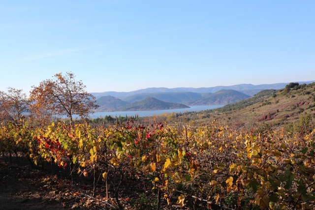  Vista del lago Salagou 