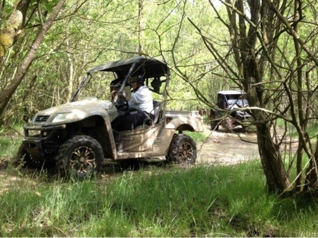  Paseo por el bosque en Buggy 