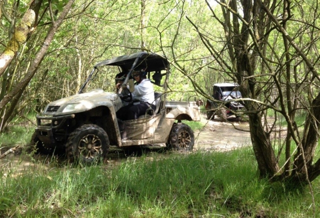  Ruta en buggy por el bosque 
