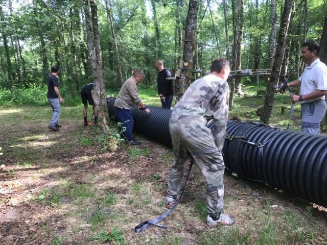 Tirada de pesas para adultos