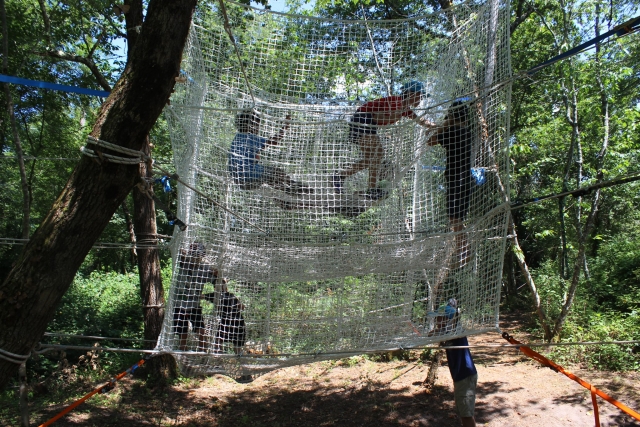 Juego de arañas