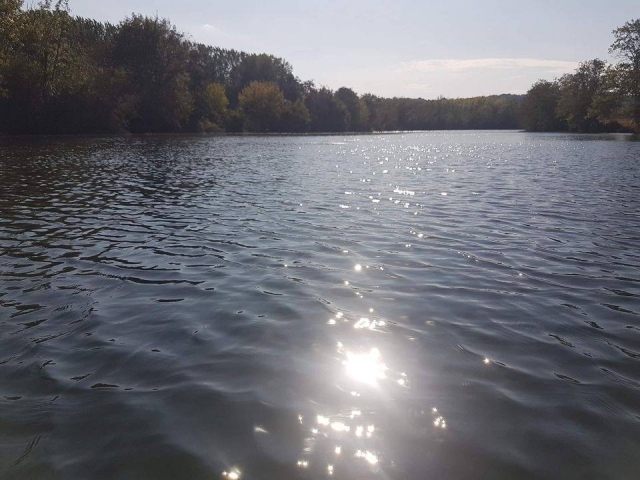 Momento de relajación