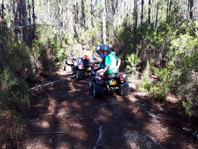  Ruta en cuatrimoto en los bosques de Alta Córcega