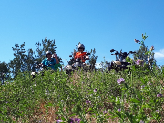  Cuatrimoto en medio de los campos de Alta Córcega 