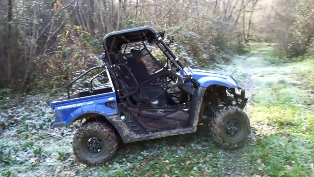  Buggy en terreno todoterreno 