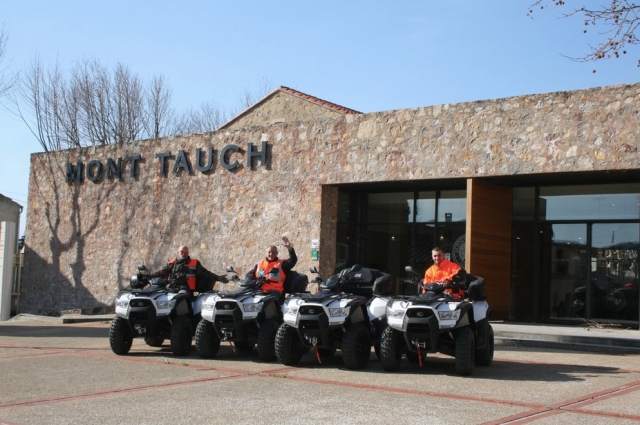  Nuestros monitores y sus quads 