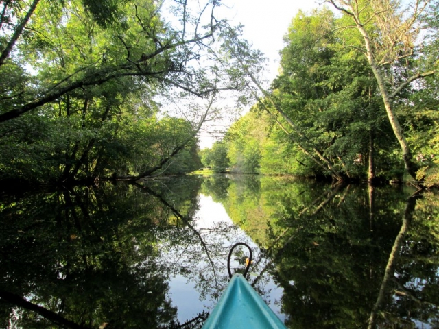  Ruta en kayak
