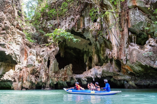  Descubra la fauna y la flora 