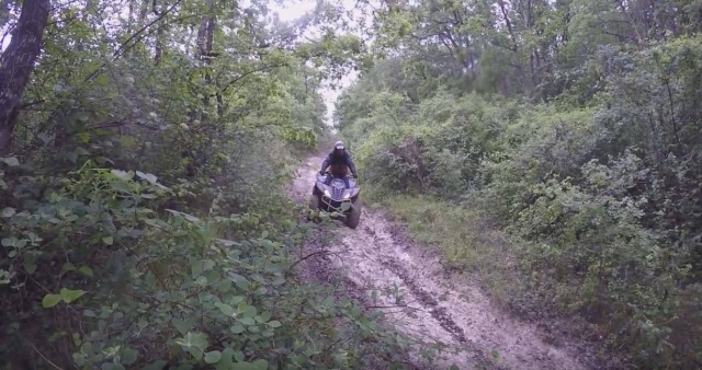 Pista forestal en cuatrimoto 