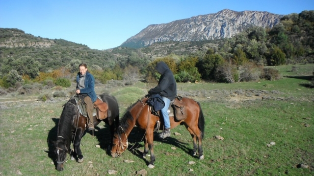  Caballos pastando antes de la salida