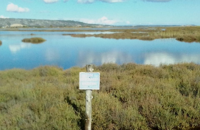  Paisaje de la región 