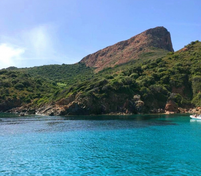  Paisaje verde 