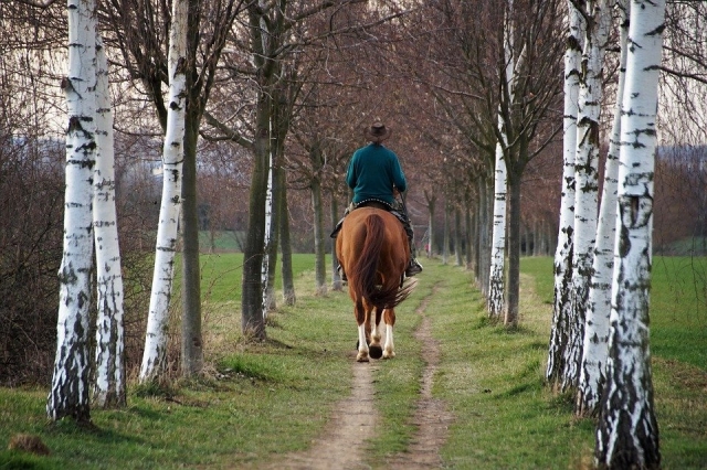  Paseo a caballo por los senderos 