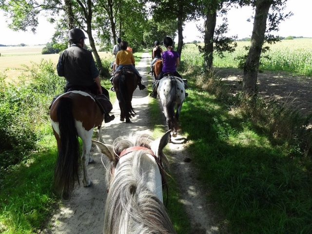  Paseo por el bosque 