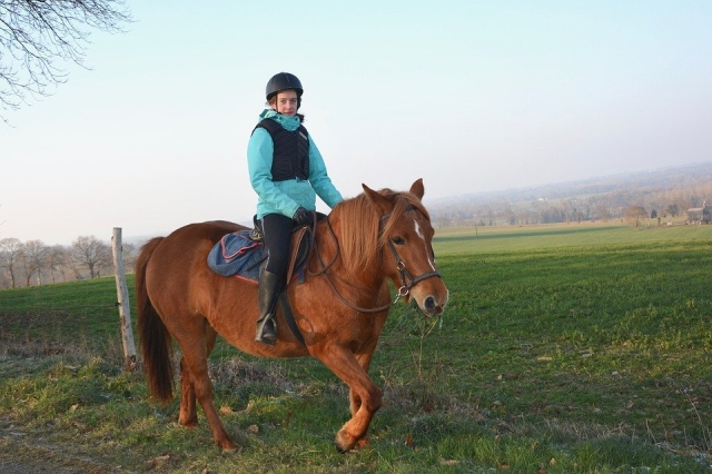  Jinele en pony por el campo