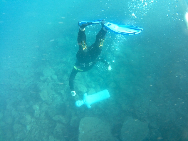 Descubrimiento de los fondos marinos duranle una iniciación al buceo 
