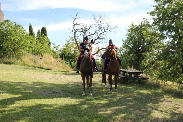  De camino para 2 horas de paseo a caballo 