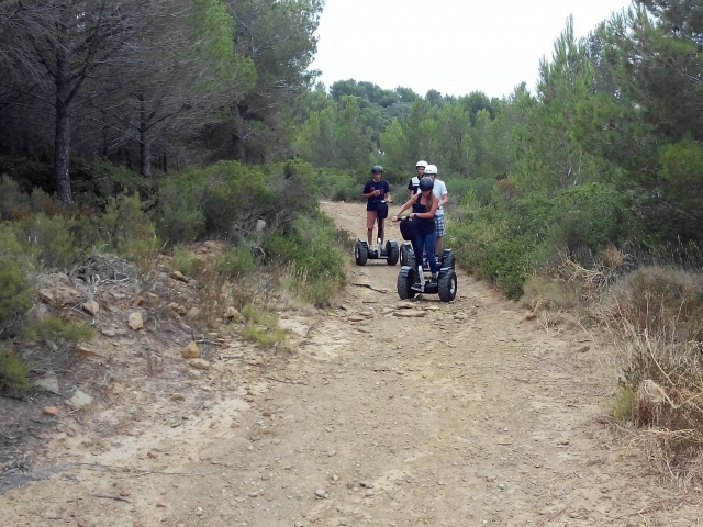  En medio del bosque a bordo de un Segway 