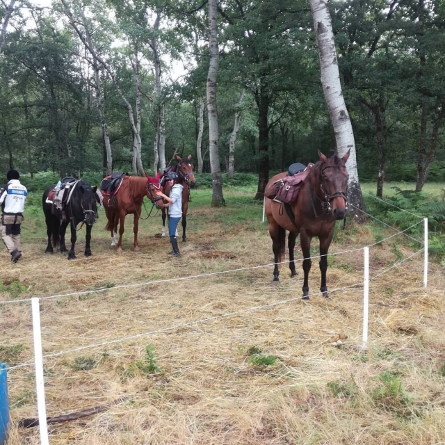  De camino duranle 1 hora a caballo 
