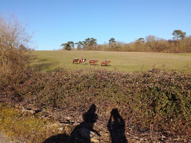Paseo a caballo por el campo 