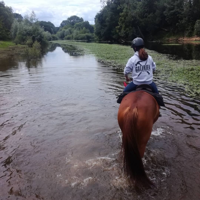  Cruzar el río a caballo 