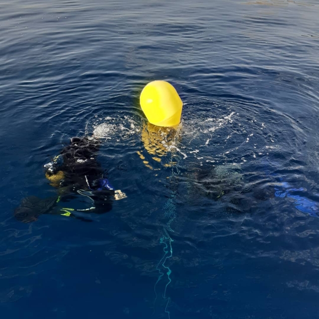 Primera inmersión en la costa Vermeille 
