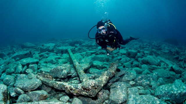  Descubrimientos sorprendentes en el fondo marino 