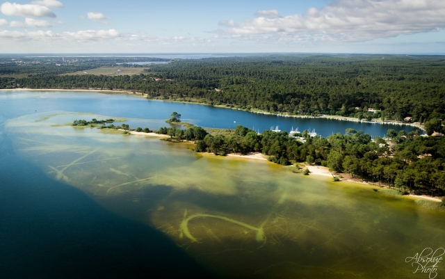  Descubrimiento de los paisajes de las Landas a bordo de un ULM 