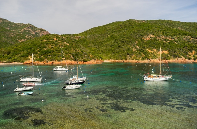  Excursión en barco de un día Córcega 