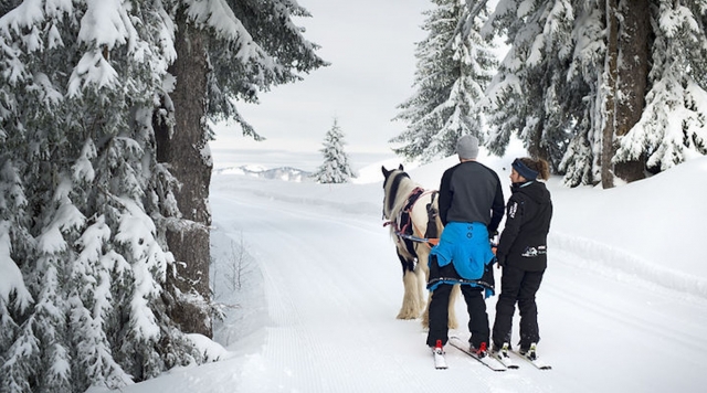  Skijoring a caballo 
