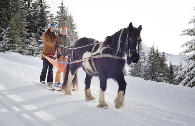 Iniciación en Skijoring 