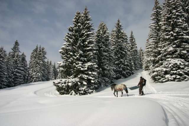  Los paisajes de Avoriaz 