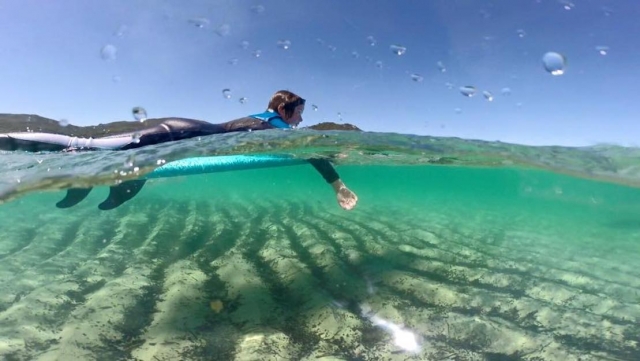  Navegación de surf 