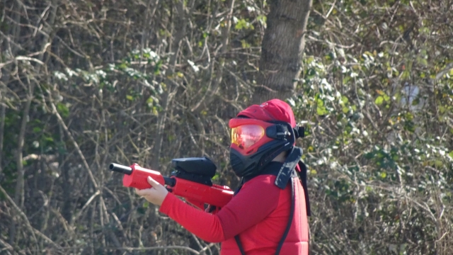 Gotcha en una zona boscosa