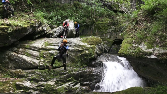 La naturaleza recupera sus derechos 