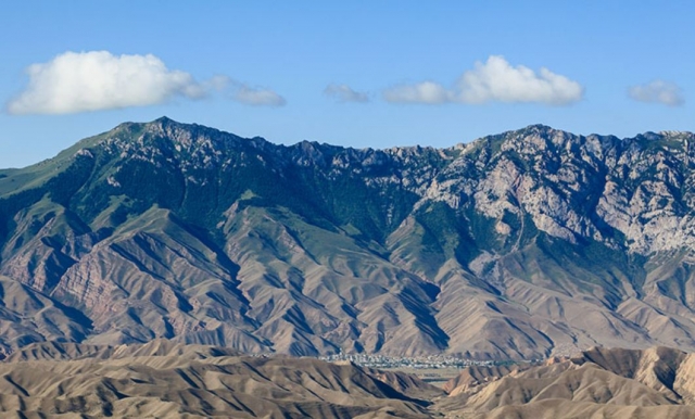 ¡Déjale sorprender! 