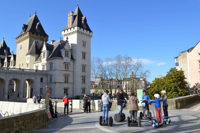  Suntuoso castillo de Pau 