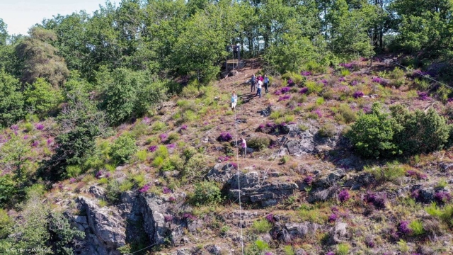  El bosque de Combrailles 