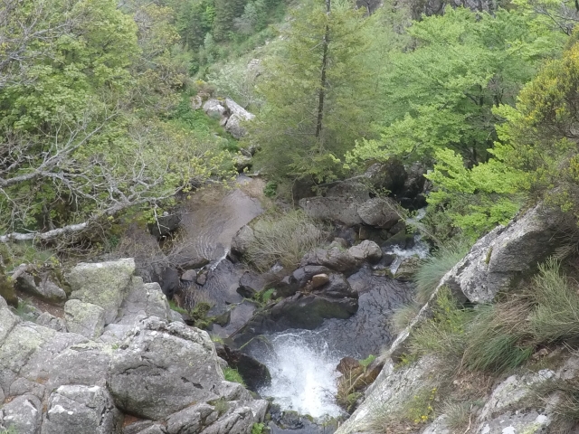  Resoga mirar hacia arriba y contemplar la naturaleza que le rodea