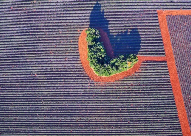 La Meseta de Valensole 