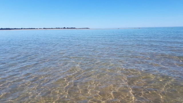  Visto desde la playa 