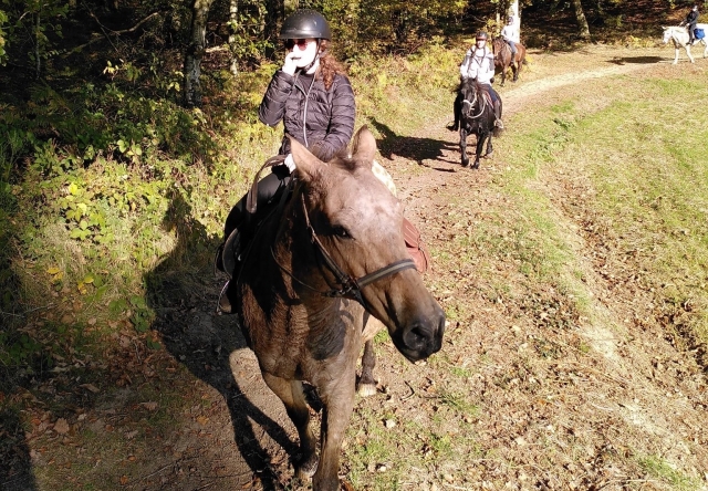  Paseo por el campo 