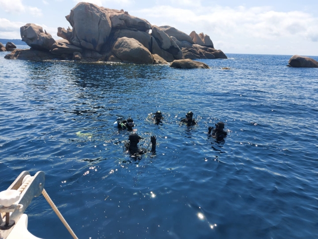  Sumérgele en el magnífico Golfo de Ajaccio 