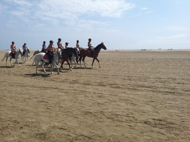  Una sensación de libertad extrema 