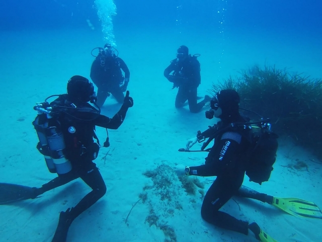  Viaje de buceo en Calvi en grupo 