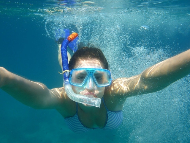  Snorkel 
