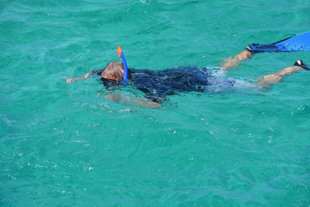 Renta de máscaras, snorkel y aletas 